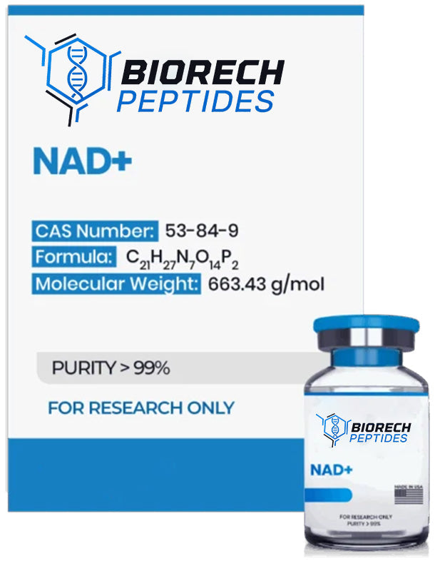 🌴（ATIN-AGING）NAD+ (100mg & 250mg & 500mg)-10 Vials